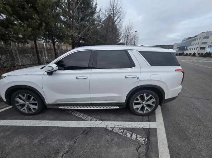 팰리세이드 2.2(4WD) 차량 사진 3