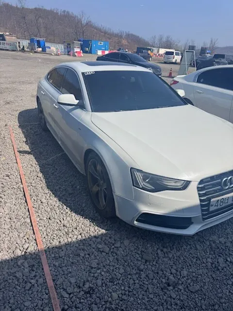 A5 2.0 TDI Quattro Dynamic Sportback 차량 사진 6