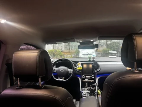 SM6 2.0 LPLi 차량 사진 8