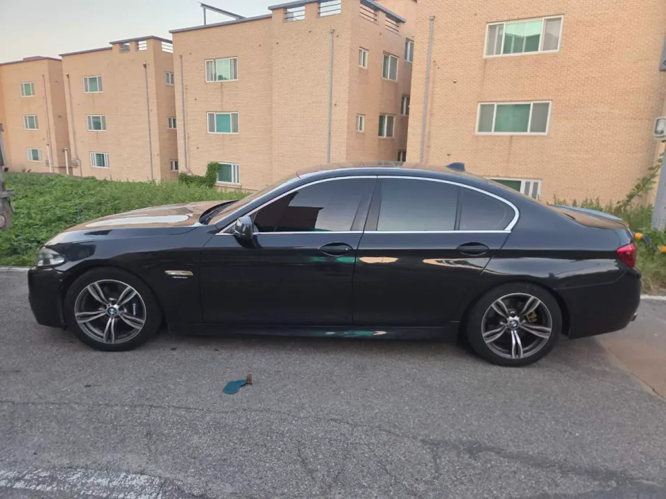 BMW 520d 차량 사진 2