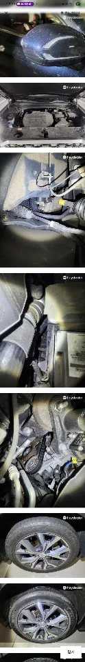 팰리세이드 2.2(4WD) 대표 사진