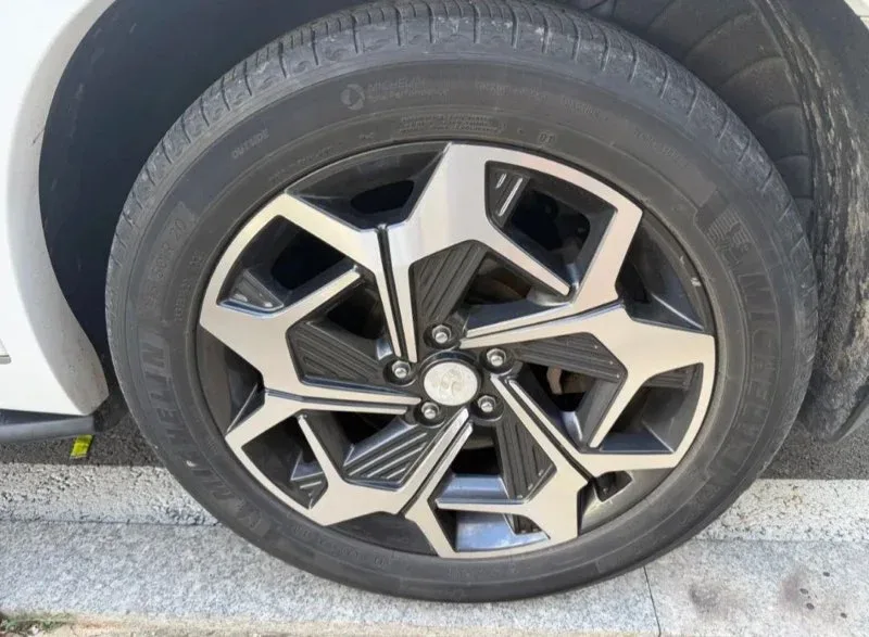 팰리세이드 2.2(2WD) 차량 사진 3