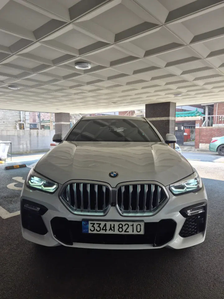 X6 xDrive 30d M Sport Package 대표 사진