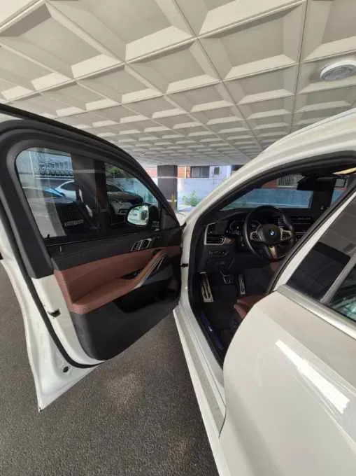 X6 xDrive 30d M Sport Package 차량 사진 11