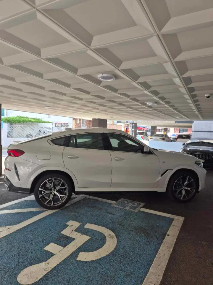 X6 xDrive 30d M Sport Package 차량 사진 3