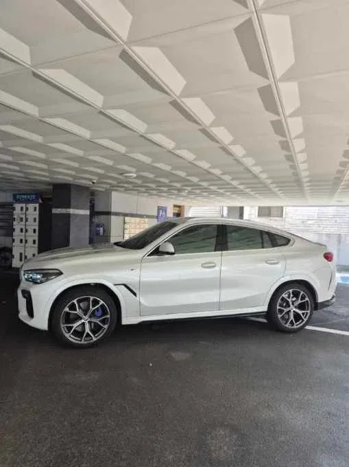 X6 xDrive 30d M Sport Package 차량 사진 5
