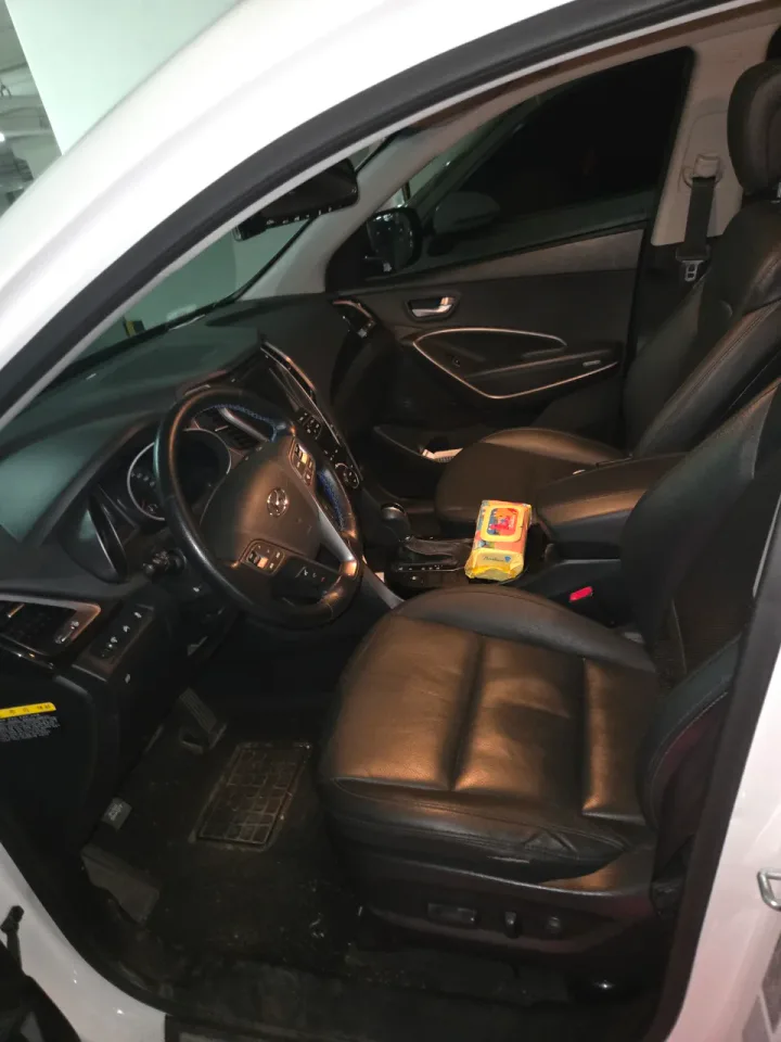 싼타페 2.0(2WD) 차량 사진 9