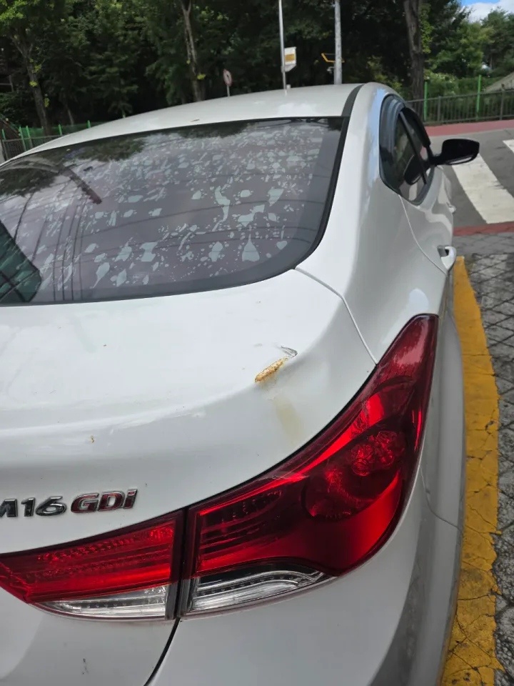 아반떼1.6GDi(MD) 차량 사진 5